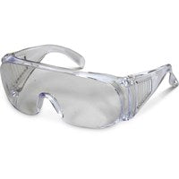 Visitor Safety Glasses